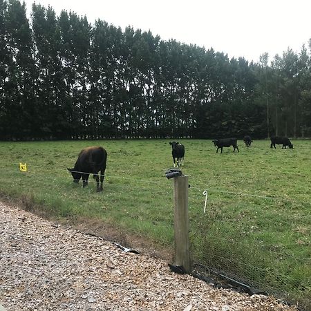 Отель Brookside Country Escape 40 Minutes To Chc Airport Leeston Экстерьер фото