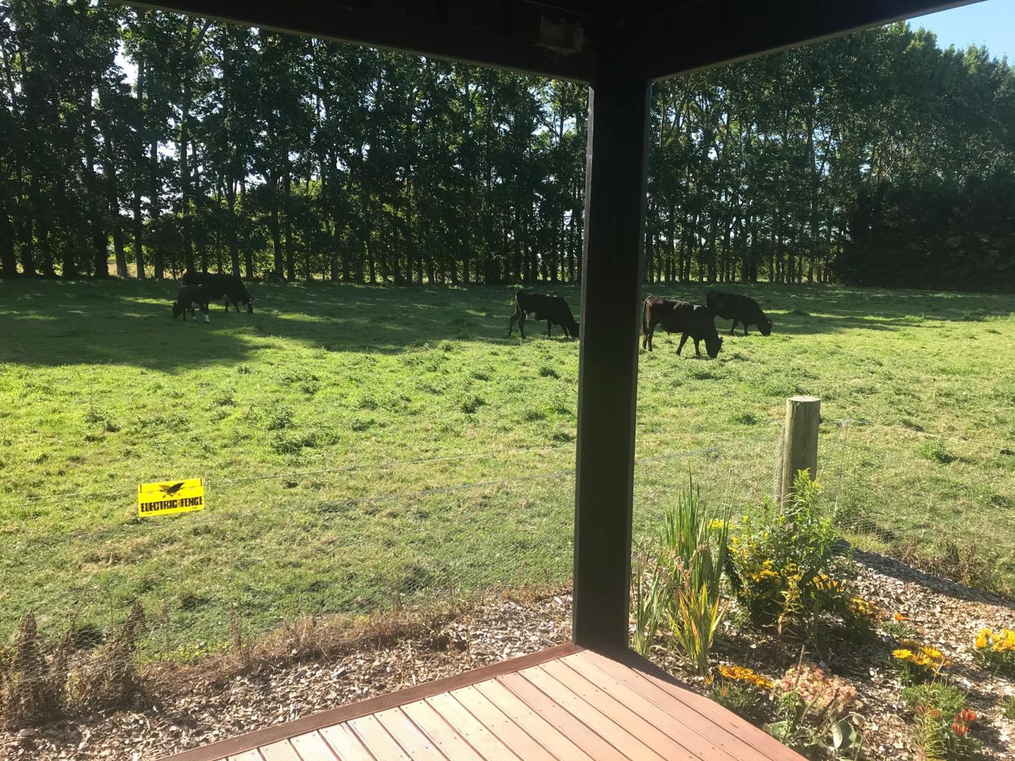 Отель Brookside Country Escape 40 Minutes To Chc Airport Leeston Экстерьер фото